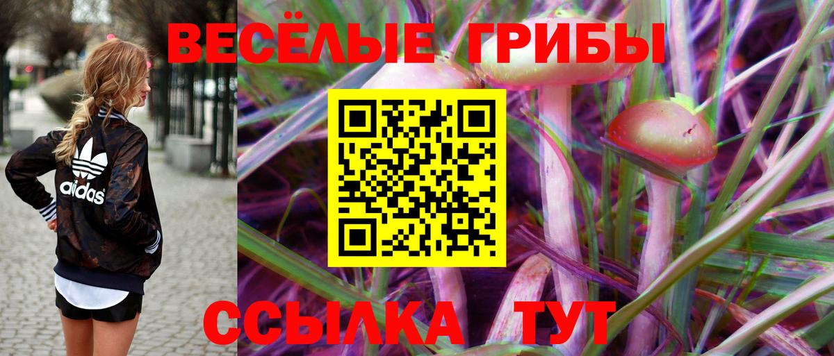 Псилоцибиновые грибы Cubensis Щёлково