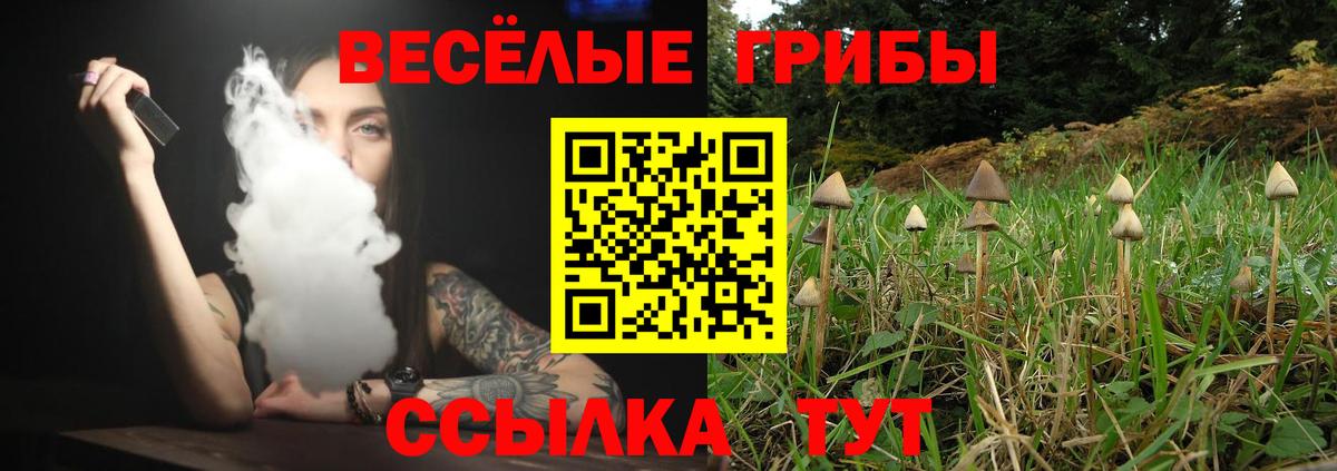 Галлюциногенные грибы прущие грибы  Вход с VPN  Щёлково 